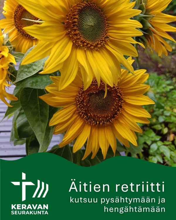 auringonkukkia ja teksti Äitien retriitti. 