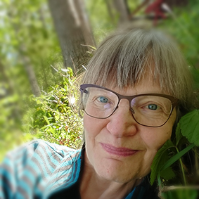 Senioritiistai verkossa Tutkija Outi Lauhakangas