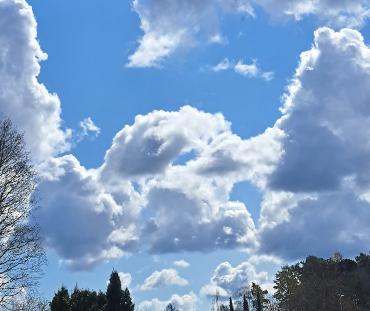 Kuvassa sininen taivas, jossa valkoisia pilviä