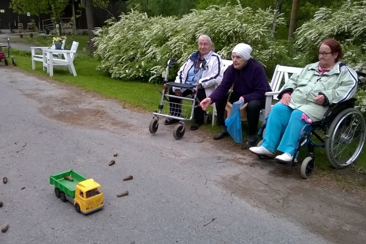 Hoivaleiri Hoivaleiri