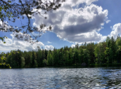luontomaisema, jossa järven takana siintää metsää ja taivaalla pilviä.