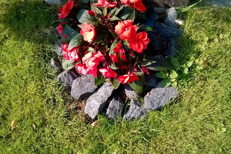 WP_20180731_004_XL.jpg