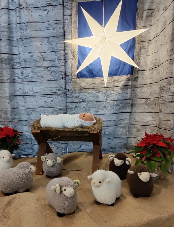 Jouluseimi kirkossa kirkkaan joulutähden alla lampaita ympärillään.