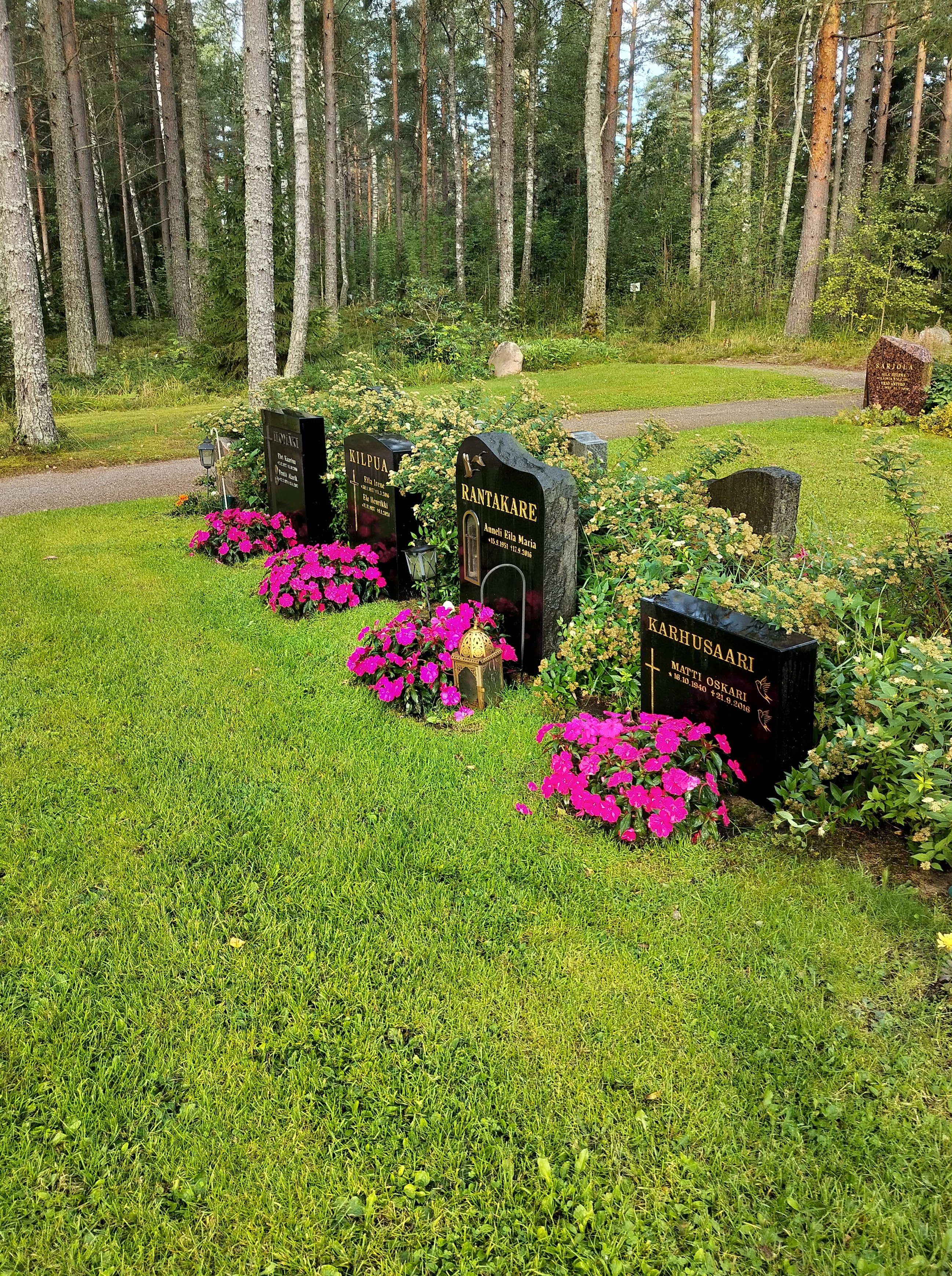 Kuvassa on neljä hautakiveä ja niiden edessä pinkit kesäkukat.