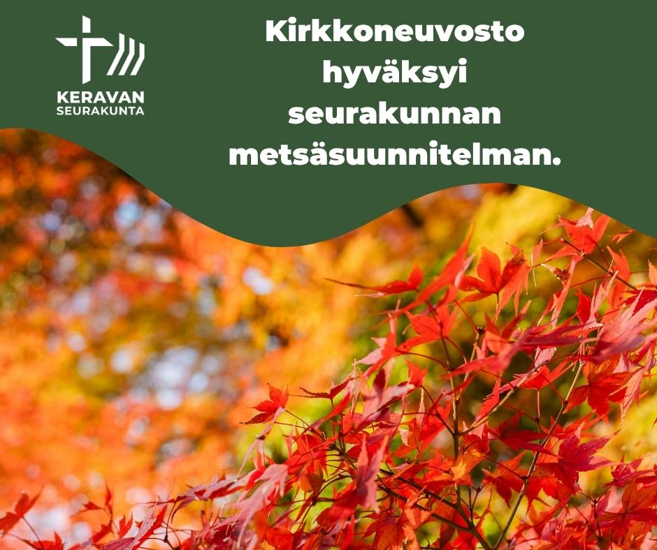 metsäinen kuva ja teksti Kirkkoneuvosto hyväksyi seurakunnan metsäsuunnitelman.